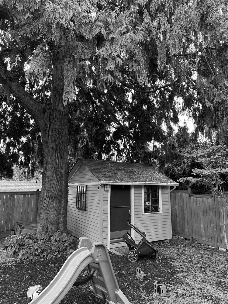 المبنى القديم الصغير قبل تجديد WORK_shed، مُحاط بشجرة كبيرة