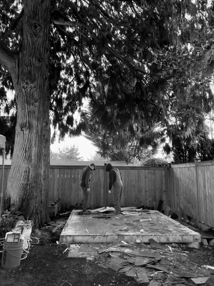  Two people clearing debris from an old shed foundation under a large tree.