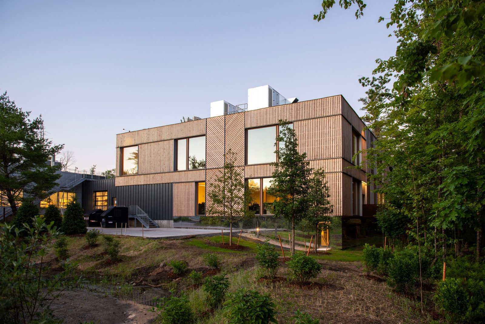 Biophilic Innovation: Sylvia Richards' Mass Timber Lab for Biotech Company