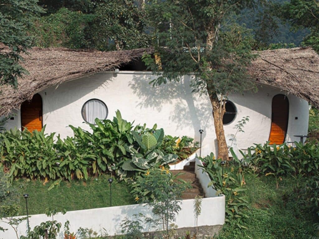Curved roof covered with golden thatch blending with surrounding tropical forest
