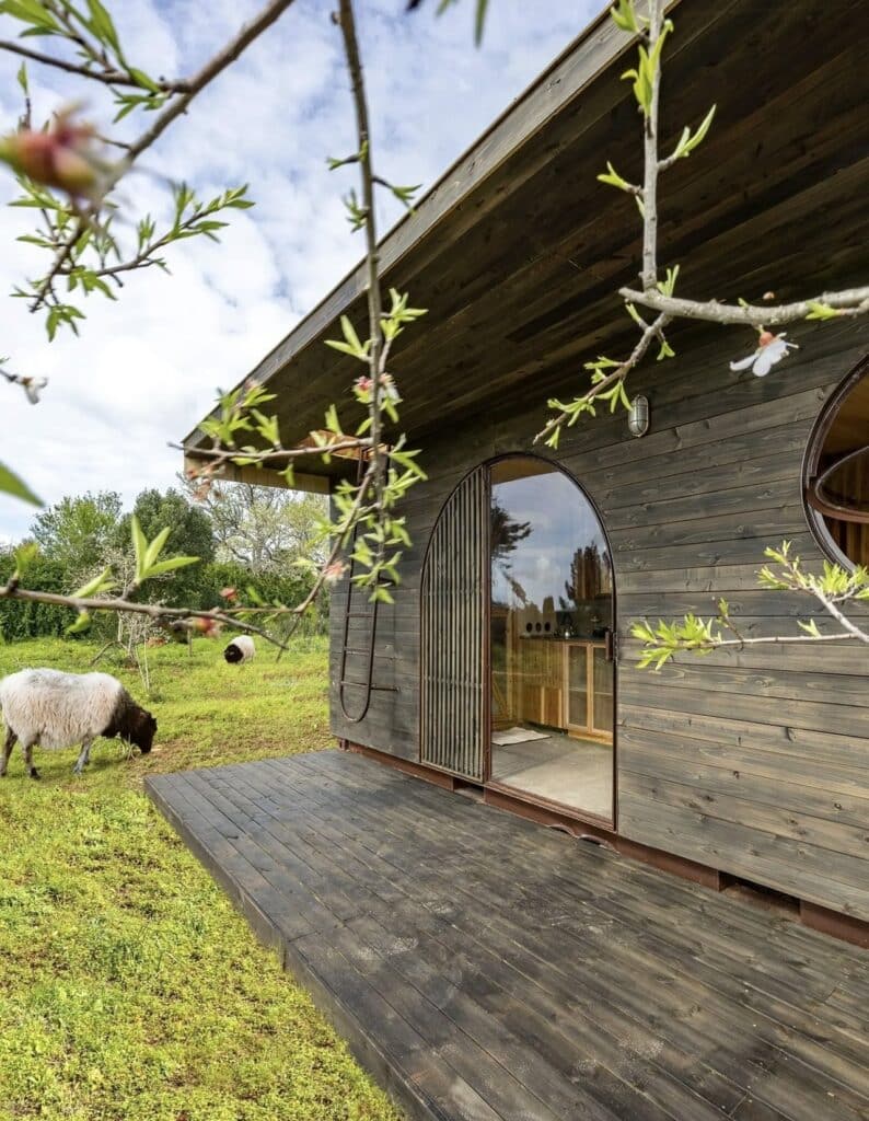 Cargo tiny home situated in Algarve region, Portugal