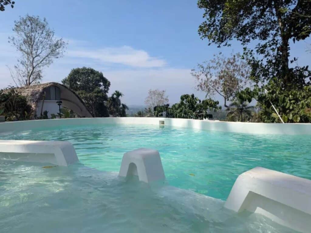 Curved roof covered with golden thatch blending with surrounding tropical forest
