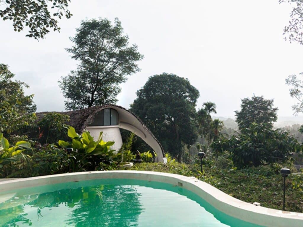 Curved roof covered with golden thatch blending with surrounding tropical forest