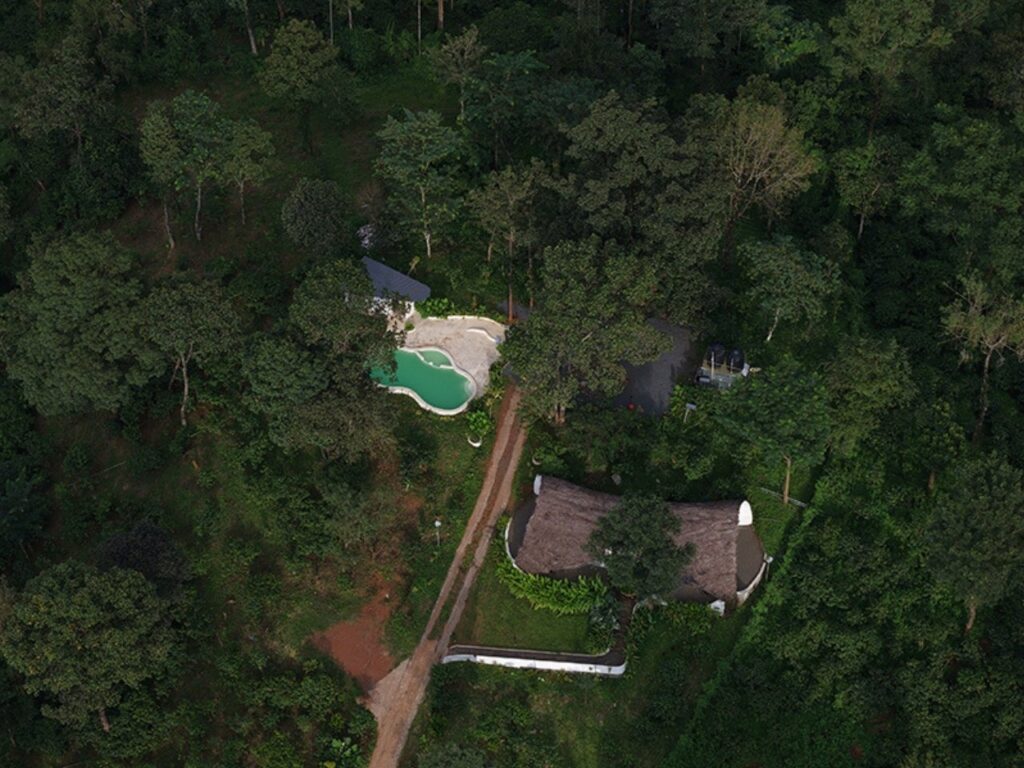 Curved roof covered with golden thatch blending with surrounding tropical forest
