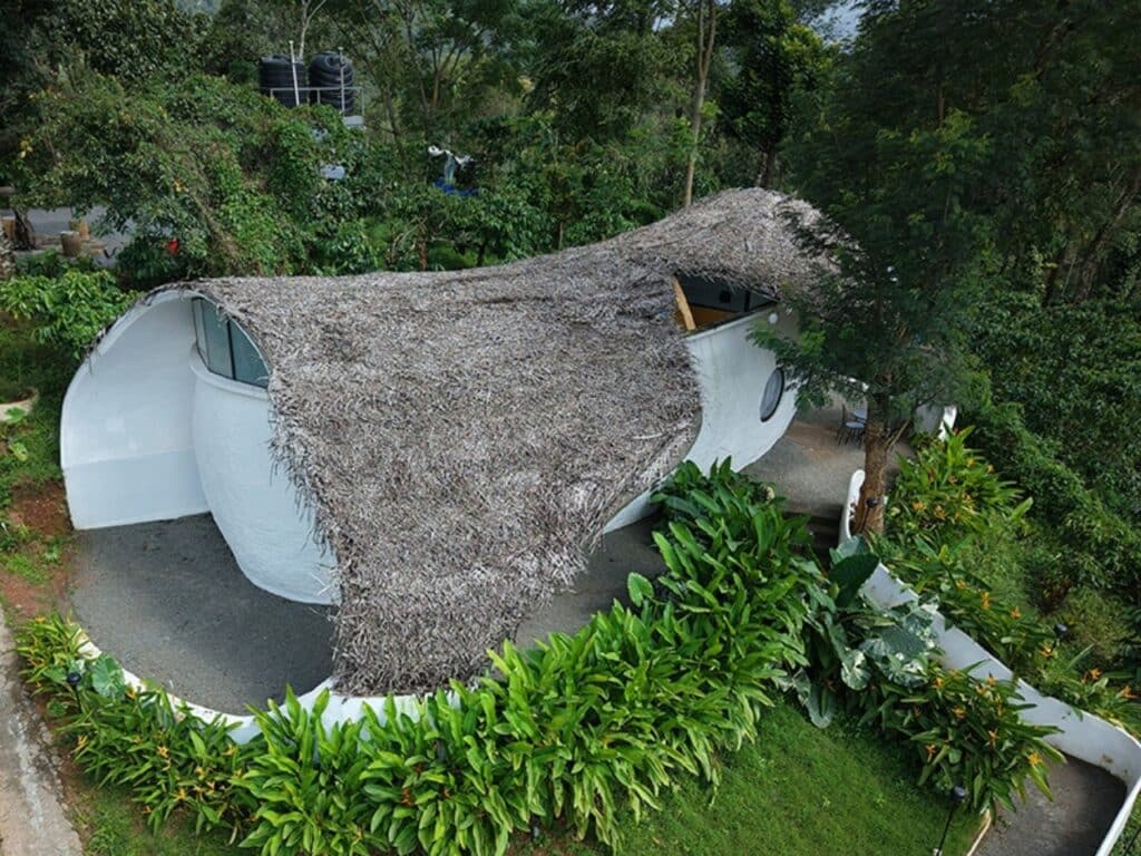 Curved roof covered with golden thatch blending with surrounding tropical forest