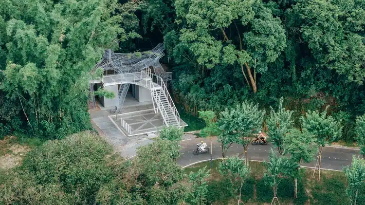 Semi-transparent floating pavilions within the local forest
