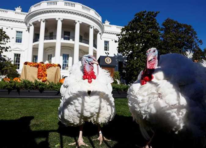 عيد الشكر 2025: العمارة الذكية تحول تجمع العائلة لمغامرة حسية مميزة