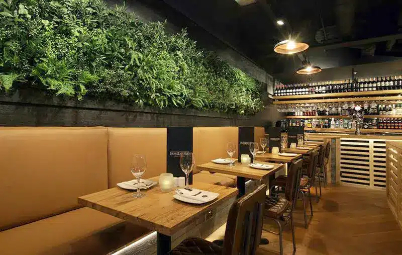 Indoor green wall in a vegan restaurant integrating nature into interior architecture