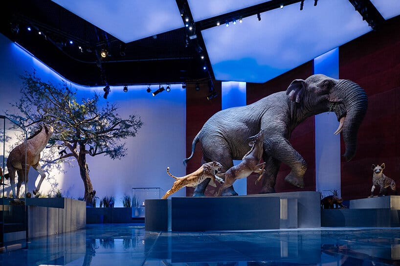 مشهد حيوي للحيوانات يُحيي التاريخ، الضوء الأزرق يُضفي جوًا ساحرًا على الرحلة.