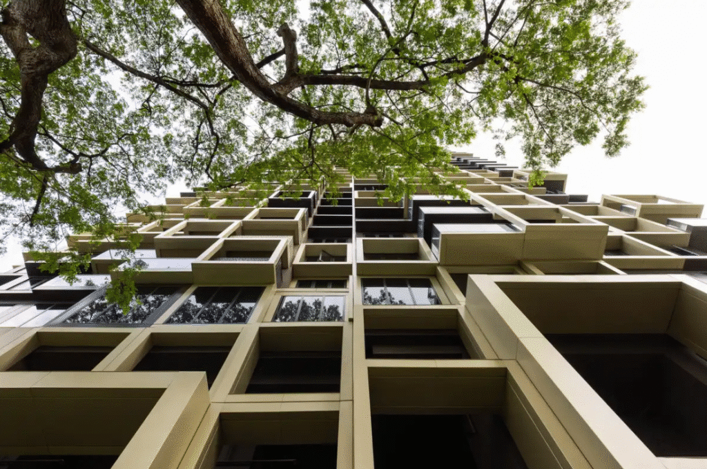 Looking up, tree branches frame the modular fa&ccedil;ade&rsquo;s geometric rhythm.