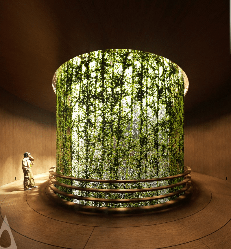شخص يقف أمام جدار أخضر دائري ضخم مضاء من الداخل، داخل قاعة خشبية دافئة، يُظهر التكامل بين الطبيعة والهندسة.