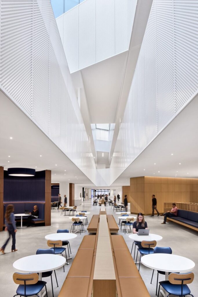 Curved skylit ceiling bathes communal space in soft light, framed by wood and deep blue.