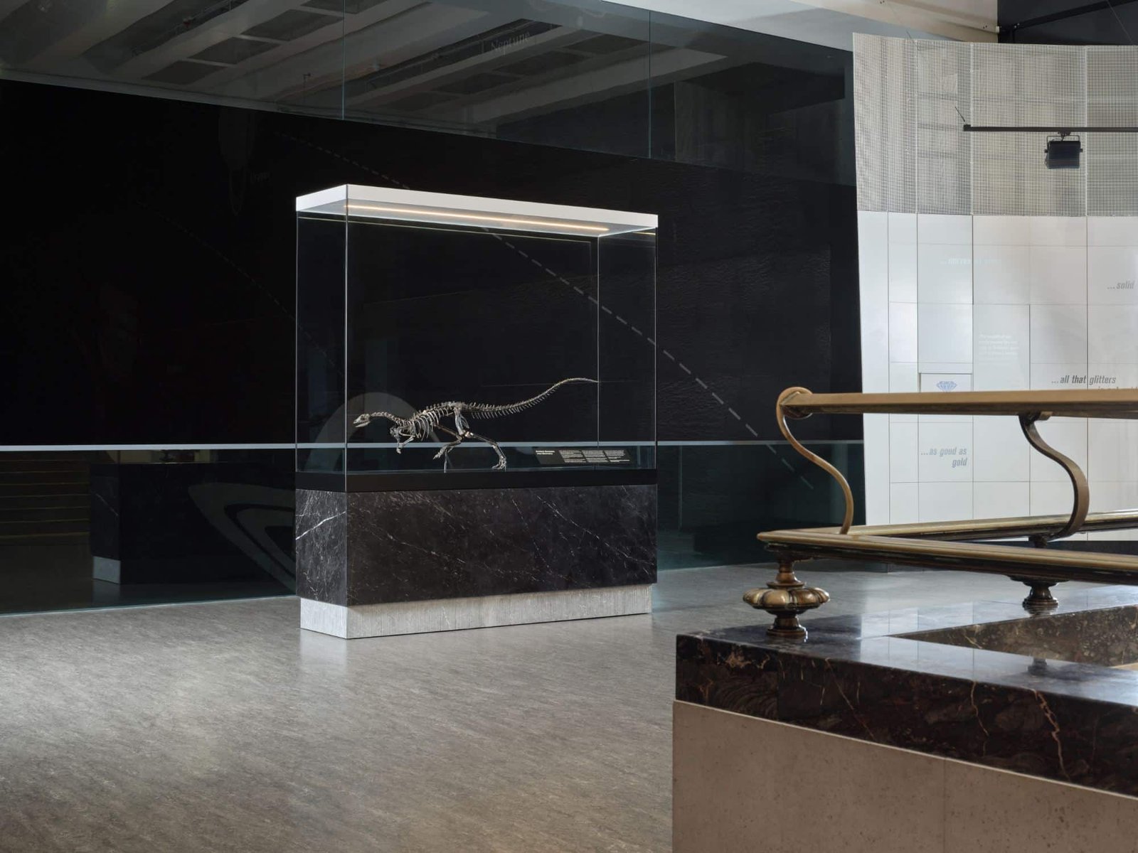 عارض ديناصور Enigmacursor: لحظة تجمدت في الزمن.. وعمارة أبرزتها بإتقان