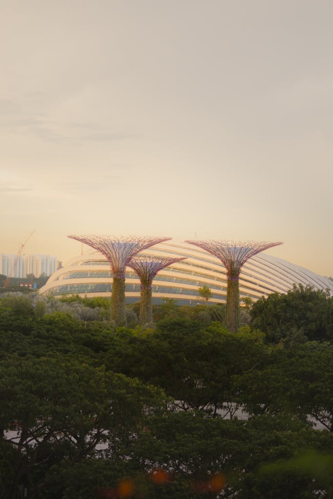 Explore the stunning Supertree Grove at Gardens by the Bay with a serene sunset backdrop in Singapore.