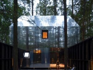 Time Machine treehouse reflecting sunlight through Metasequoia leaves