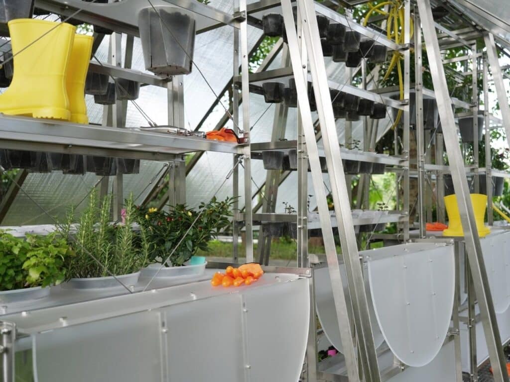 Steel A-frame structure covered with transparent polycarbonate panels