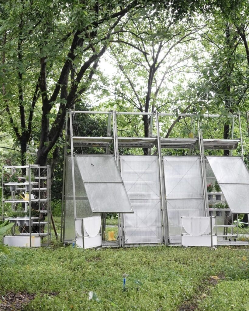 Steel A-frame structure covered with transparent polycarbonate panels