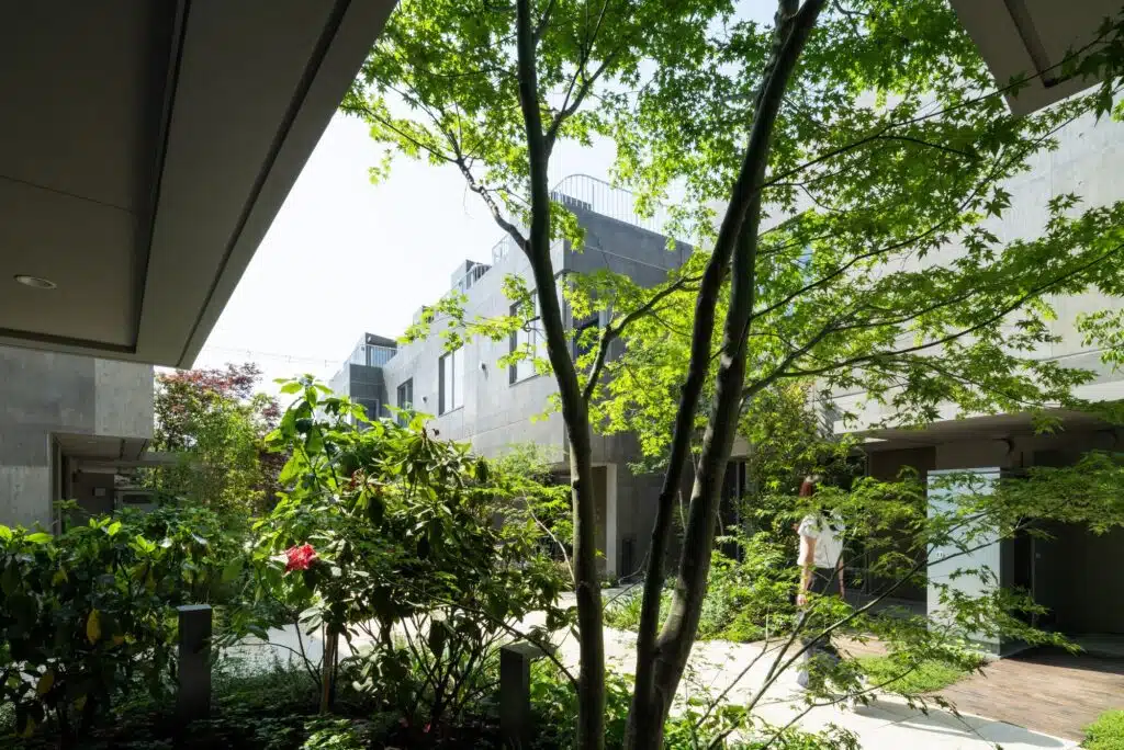 Overview of Nishi-Ogikubo residential cluster showing three-story terraced houses and narrow garden paths.