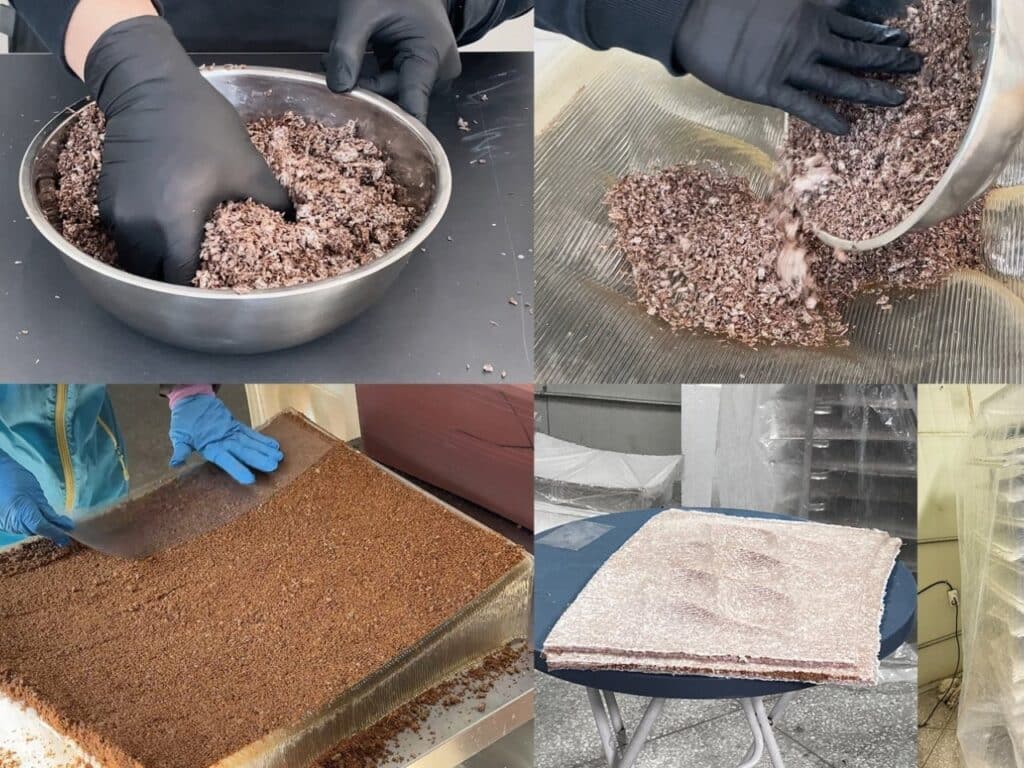 Fungal substrate samples being tested in the laboratory