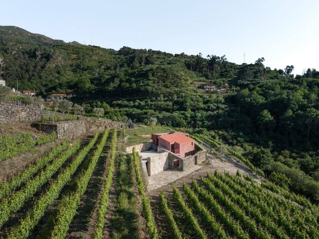 Aerial view of vineyards in the Duro Barro area