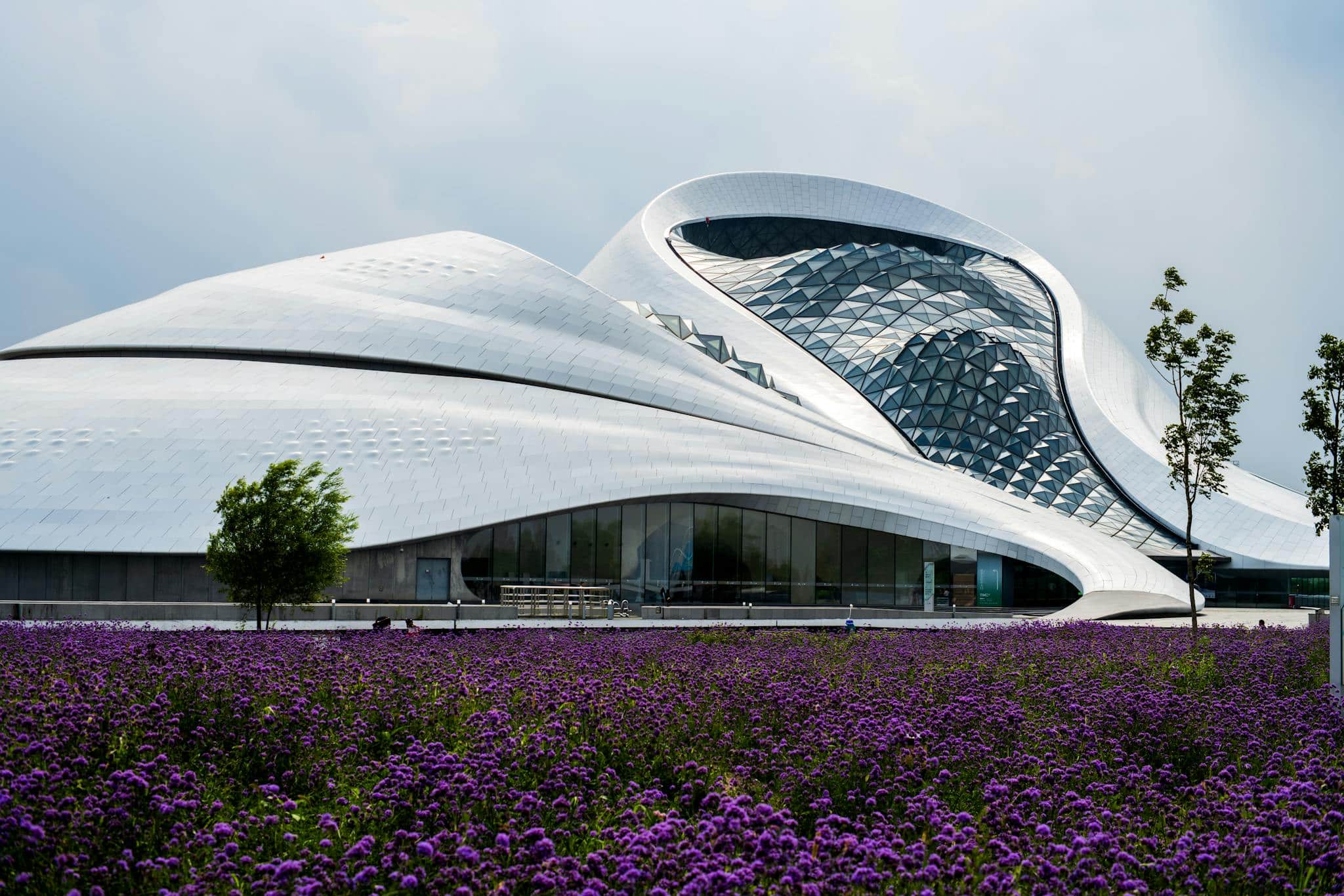 Striking modern architecture with an expansive field of purple flowers in the foreground under a cloudy sky.