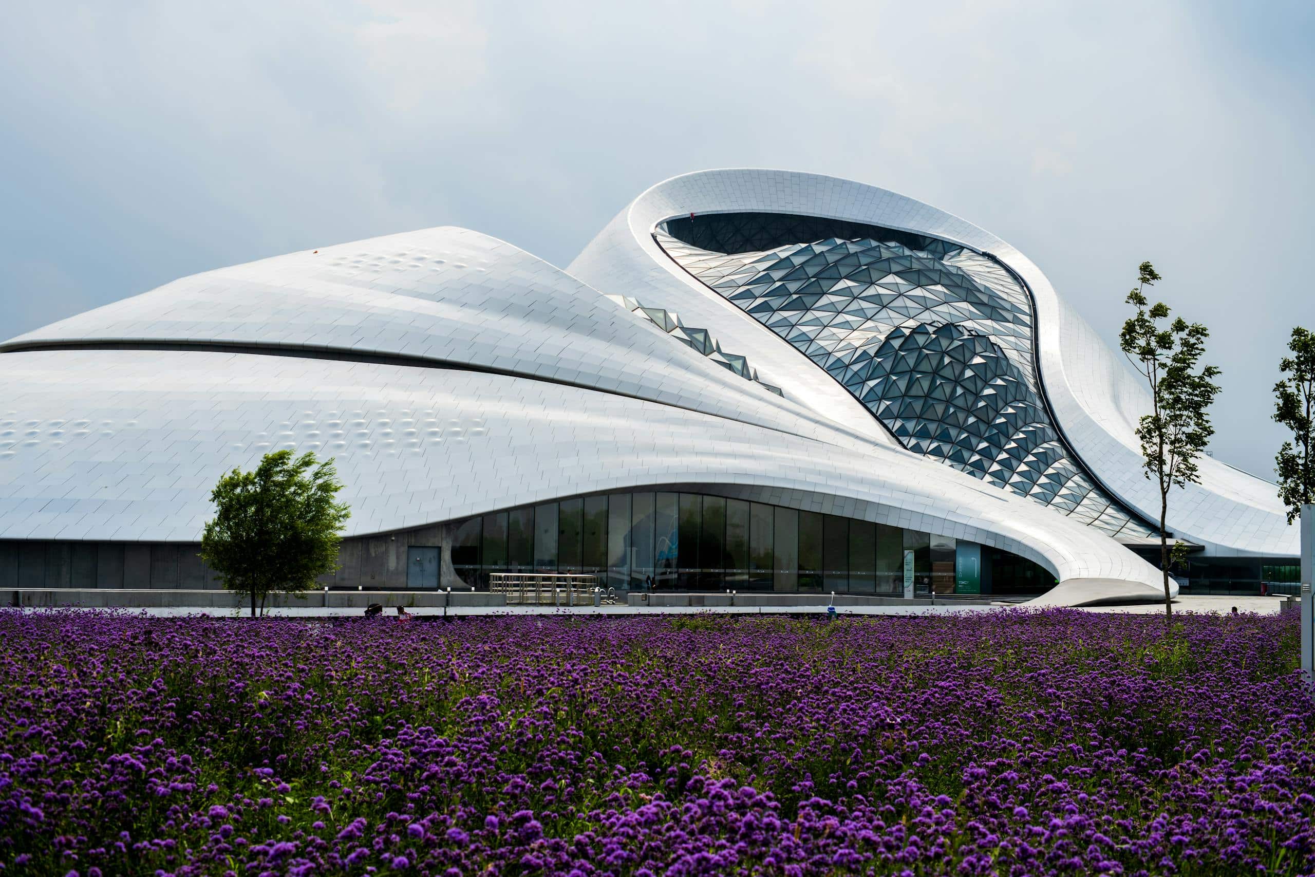 Striking modern architecture with an expansive field of purple flowers in the foreground under a cloudy sky.