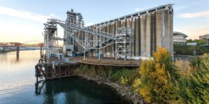 Wide shot of the massive, derelict historic grain silos on the Willamette River in Portland, showing their concrete and industrial steel structures before the "Albina Riverside" adaptive reuse project.