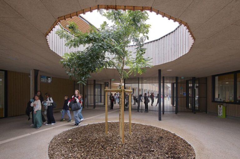 Interior corridor of the timber-framed school in Cambrai, featuring a central tree growing through a curved skylight, with students moving between classrooms.
