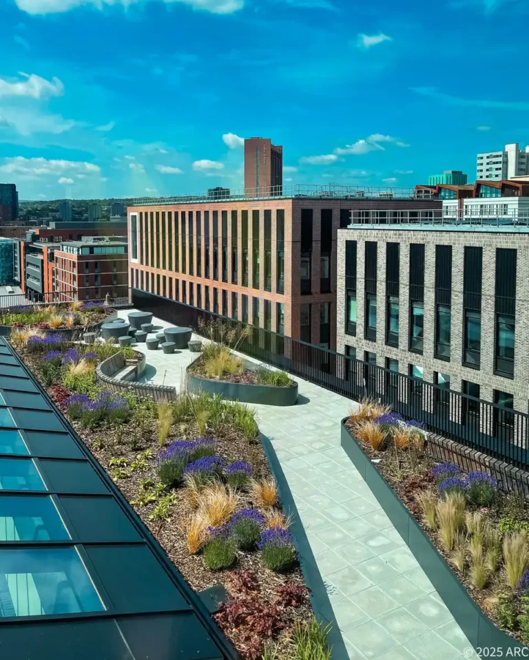 Aerial view of a rooftop garden at Sheffield Hallam University’s Langsett, Redmires and Strines complex, featuring paved walkways, circular seating, and planted beds as part of its academic architecture initiative.