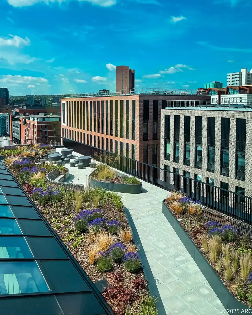 Aerial view of a rooftop garden at Sheffield Hallam University’s Langsett, Redmires and Strines complex, featuring paved walkways, circular seating, and planted beds as part of its academic architecture initiative.