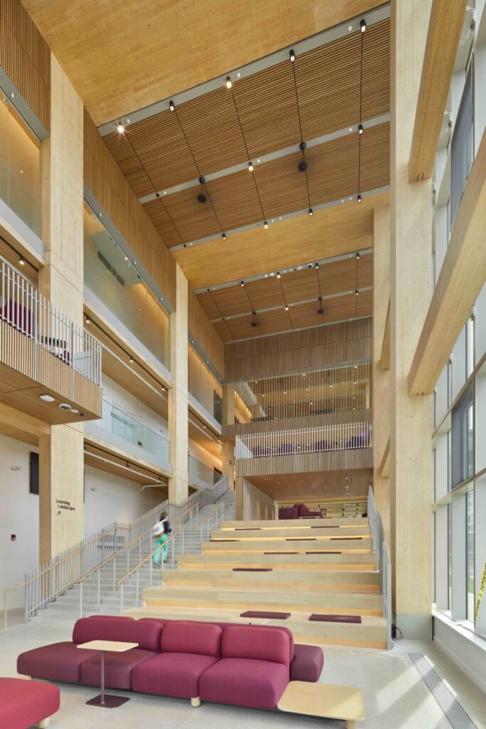 Warm, illuminated timber stairs connect floors, inviting movement and calm