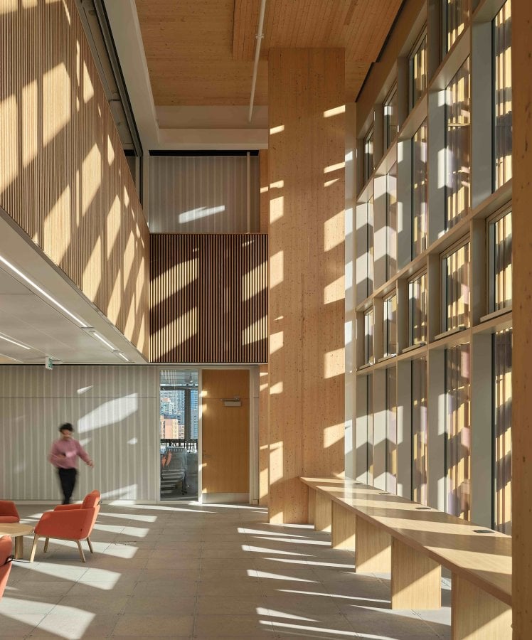 أضواء الشمس ترسم ظلالاً على الجدران الخشبية في الممر الواسع