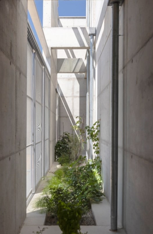 ممر جانبي ضيق بين كتل الخرسانة المنحوتة يُظهر مسار نمو النباتات المتسلقة التي ستشكل "الصندوق الثالث" البيئي.