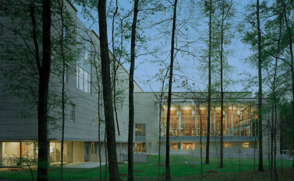 مقر لجنة مكتبة ميسيسيبي، يظهر الانسجام مع البيئة الطبيعية المحيطة والغابات، تجسيداً لـ العمارة كخدمة مجتمعية وثقافية.