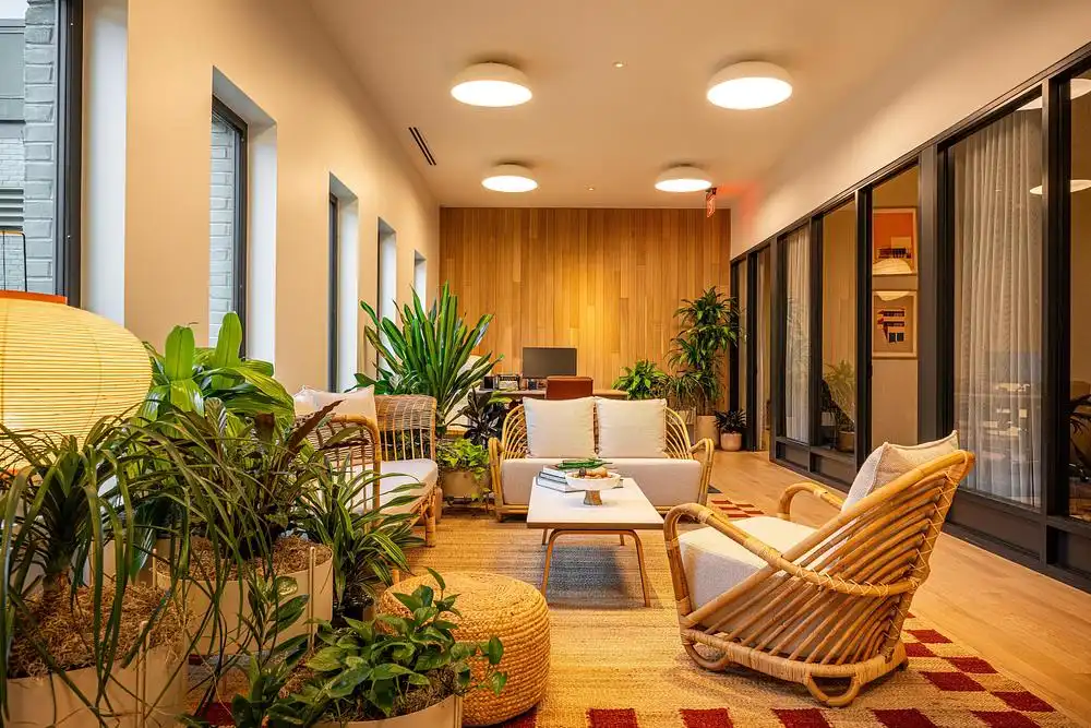 Cozy lounge area featuring indoor plants, wicker furniture, and a warm timber panel background.