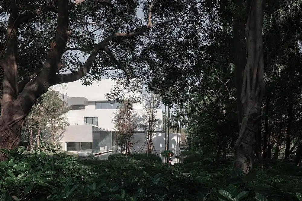 The structure is concealed behind dense forest trees, emphasizing environmental respect and minimizing the visual footprint of the structure.