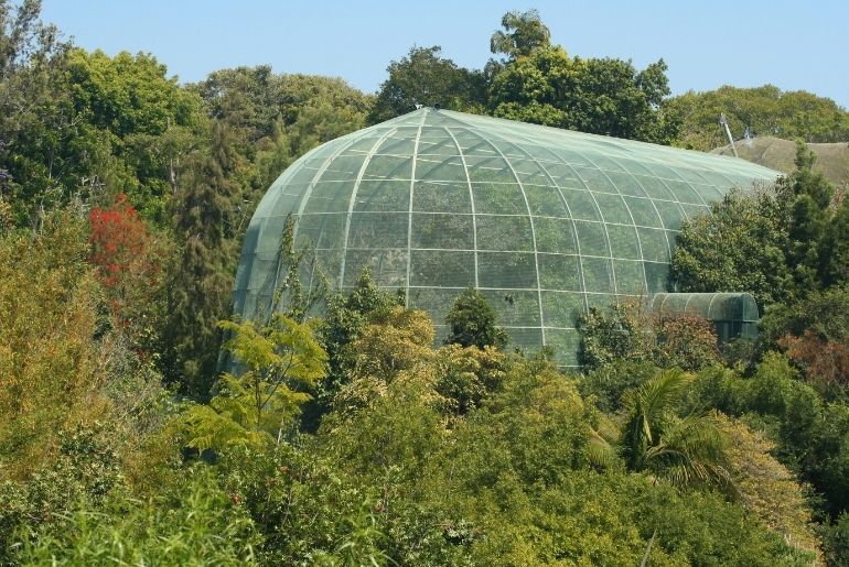 Exotic Bird Park dome structure nestled within dense greenery, featuring a geodesic mesh canopy designed to house non-native avian species in a controlled tropical environment.