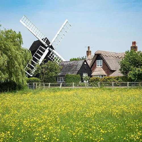 A traditional English countryside scene featuring a historic windmill, thatched-roof cottage, and vibrant yellow wildflower field   representing the rural landscape of west Suffolk targeted by the Forest City proposal.