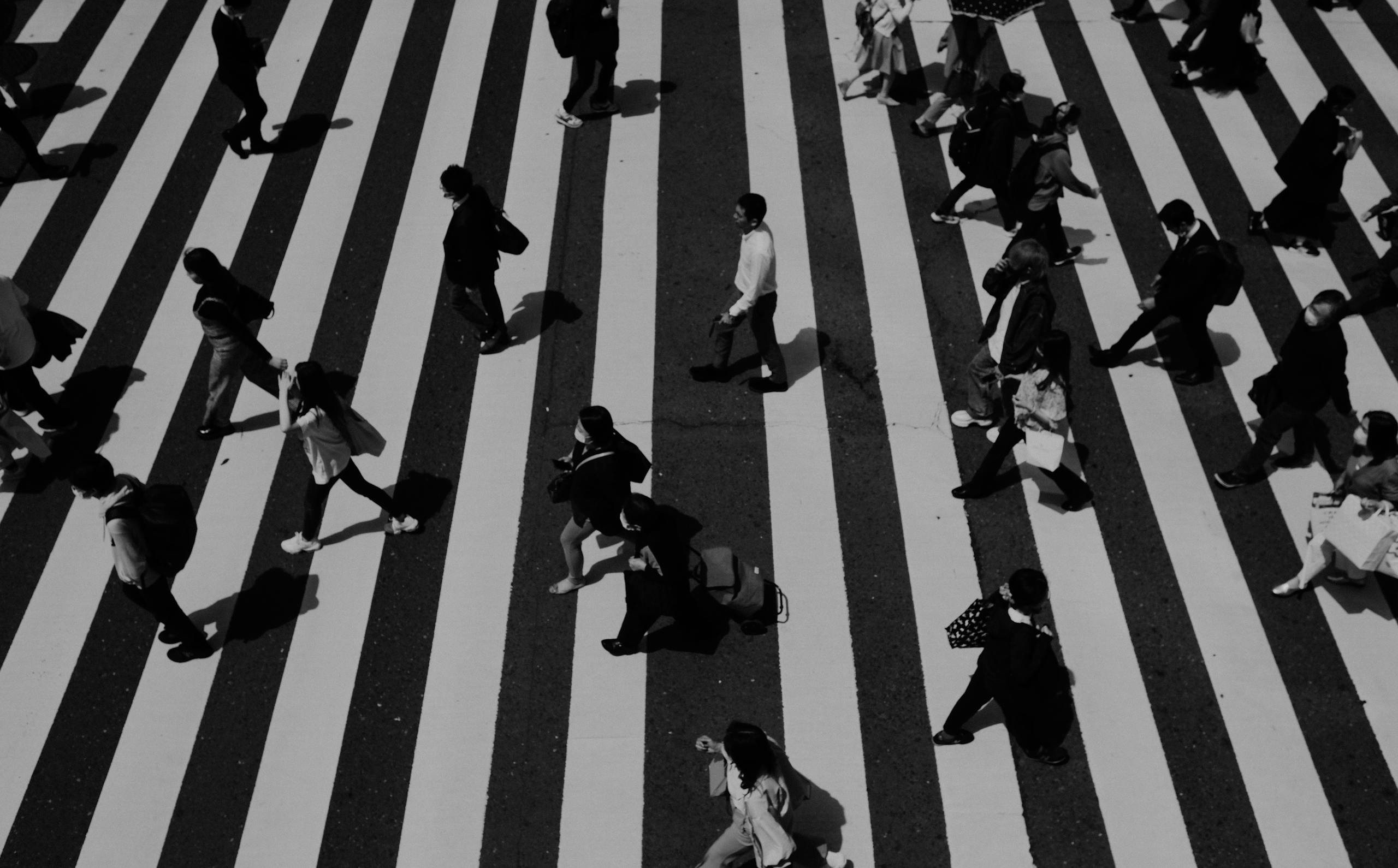 A high angle black and white photo of people crossing a city zebra crossing. Urban life captured.