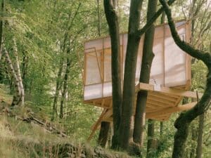 A low-angle shot of Casetta Tessino, a modern timber treehouse elevated among lush green trees, showcasing its wooden structural base and translucent facade.
