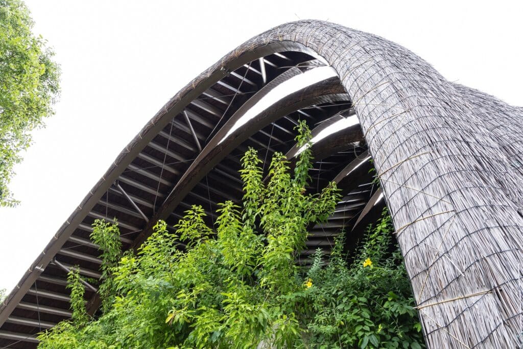 Upward view of the Goot Garden House roof edge showing the texture of the thatch material and integrated greenery.
