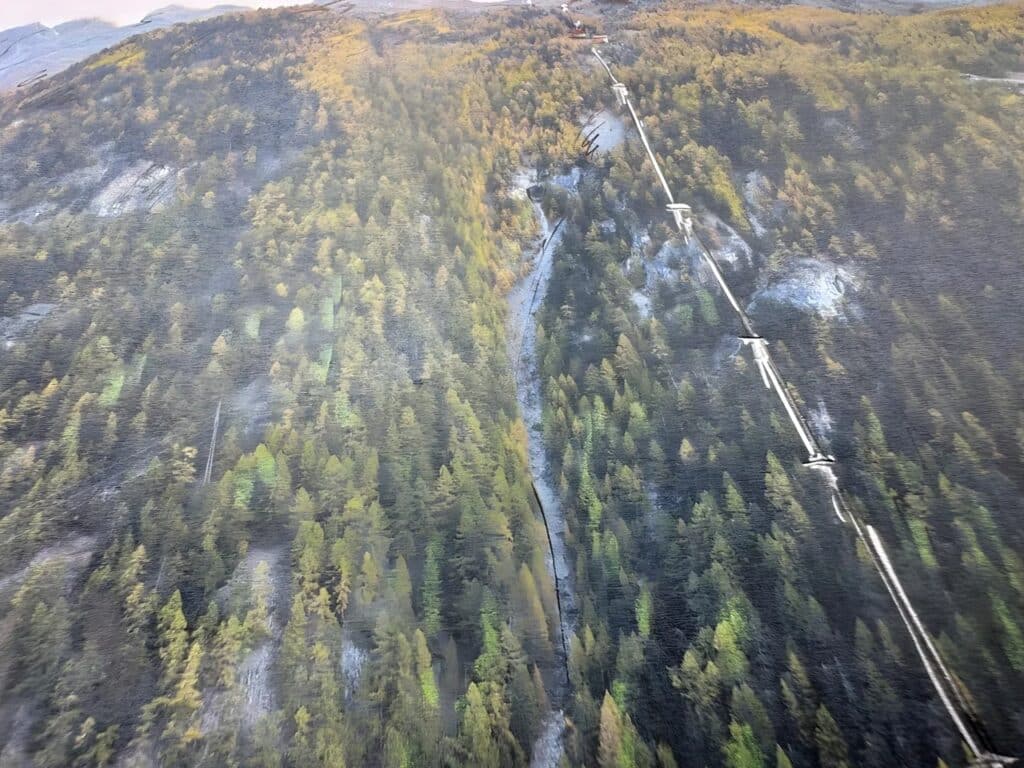 Aerial perspective sketch of the Zermatt mountain forest showing the vertical integration of the Lina Peak site.