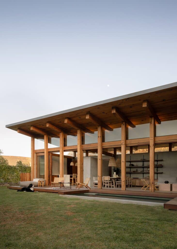 Queretaro House terrace at dusk with warm interior lighting and a large dog resting on the lawn near the pool.