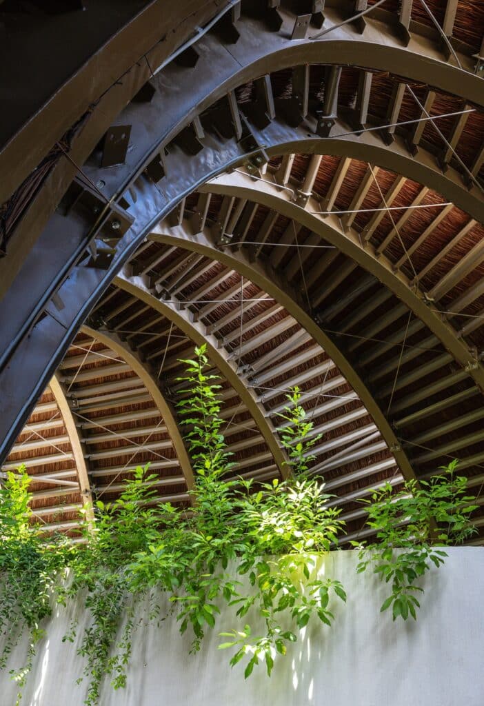 Close-up of climbing plants growing over the white interior walls beneath the arched structural roof of Goot Garden House.