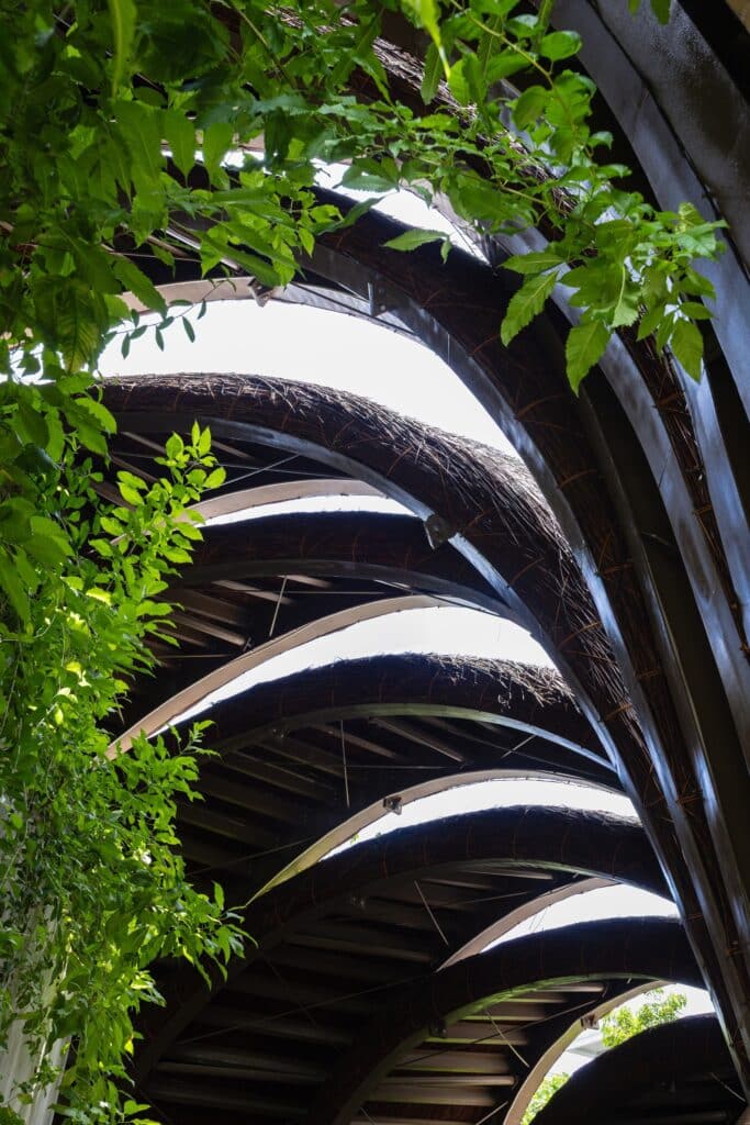 Looking up through green leaves at the curved structural ribs and thatched interior of the Goot Garden House roof.