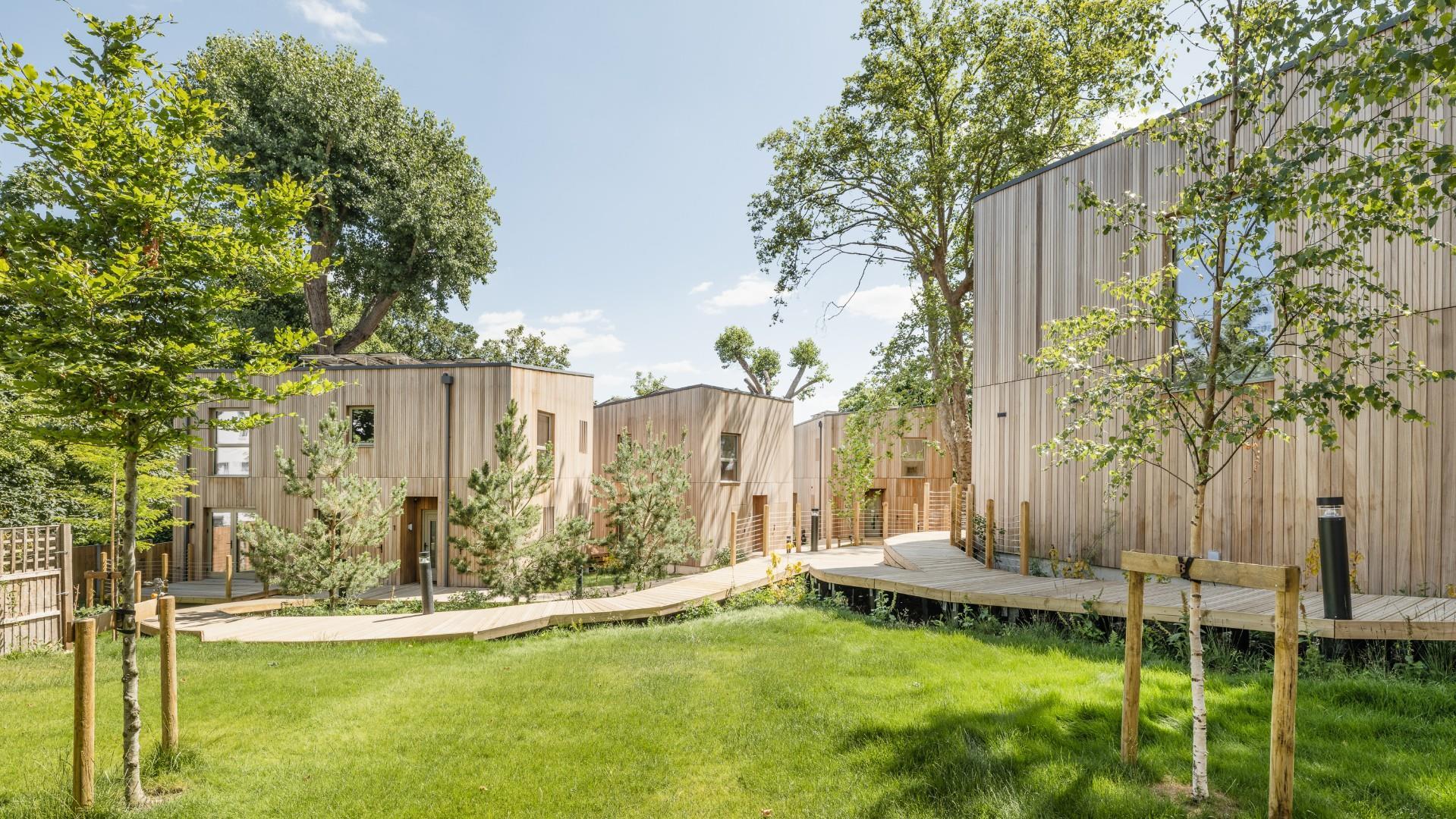 A row of modern wooden-clad backyard homes in southeast London, connected by a curved timber walkway through a landscaped green space under bright daylight.