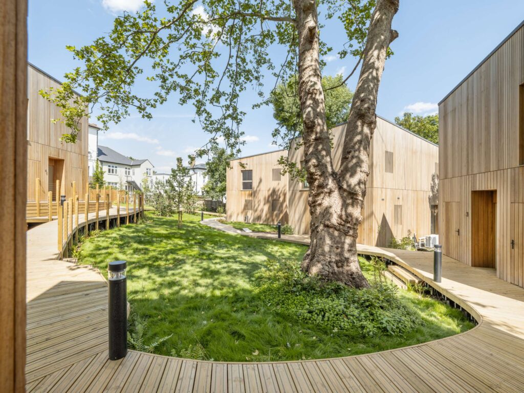 Curved timber walkway winding through a green courtyard between modern wooden-clad homes in Catford, southeast London, with mature trees and natural light.
