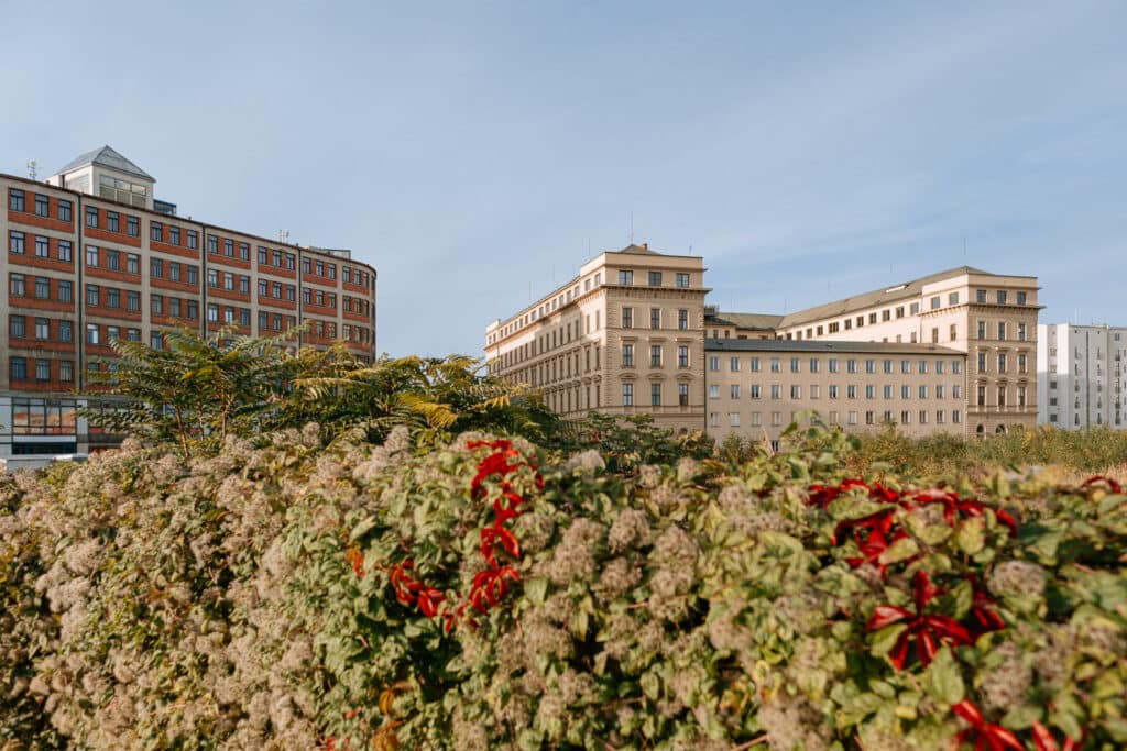 Existing buildings on Malinovsk&eacute;ho n&aacute;měst&iacute; in Brno, Czech Republic, viewed from behind overgrown vegetation, showing the urban context for the future New Brno Municipal Building.