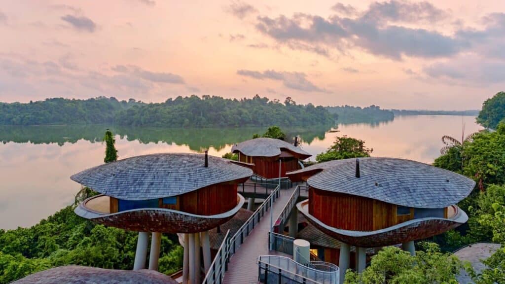 Architectural Design Organic wooden treehouse structures with curved roofs overlooking a calm river at sunset, surrounded by dense forest.