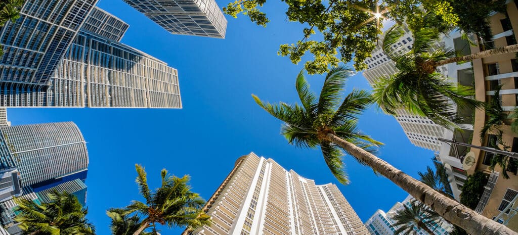 Low-angle fisheye perspective of towering white skyscrapers and lush green palm trees against a clear blue sky in Miami.